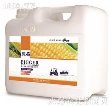 ���׌�(zhu��n)�ø߷��ӏ�(f��)�����ЙC(j��)����Һ�ʣ�5kg��-�̸�-�ɭ�r(n��ng)�I(y��)