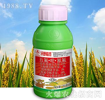 24%������������-��Ұ����-�к����_