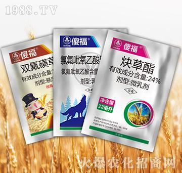 ɵ���M��-�к����_