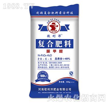 ��(f��)�Ϸ��ϣ����ȩ��28-6-6-������