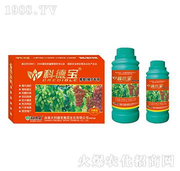 ���������ӌ��àI�B(y��ng)���a(ch��n)�{(di��o)�턩-�Ƶ�