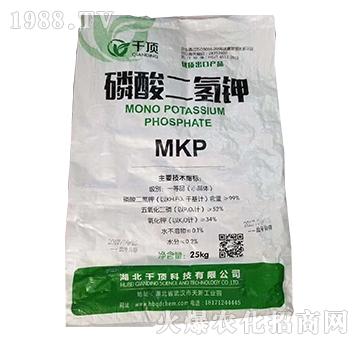 ��������-ǧ�