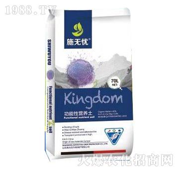 ������������ˎ��-ʩ�o�n