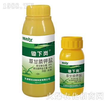 43%�ݸ����}-�z��-���˰ل�