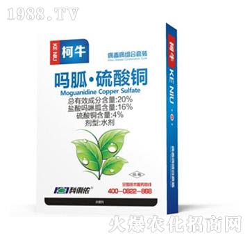 �������M�����b-��ţ-�����r