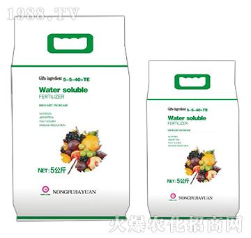 Water soluble FERTILIZER-5-5-40+TE-�r(n��ng)��ڈ@