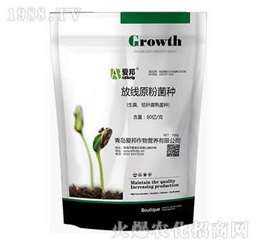 �ž�ԭ�۾��N-�۰�