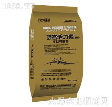 �|̦������ԭ��-���_(t��i)��