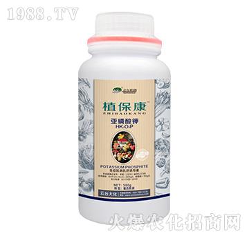500gֲ����-���_(t��i)��