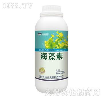 ������-���_(t��i)��