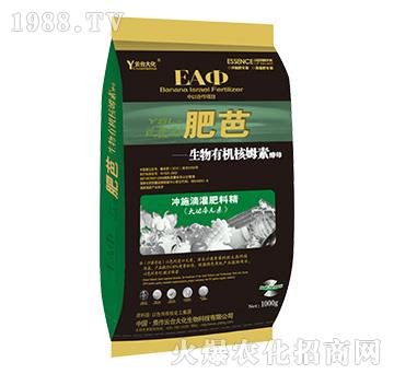 �ʰ�-���_��