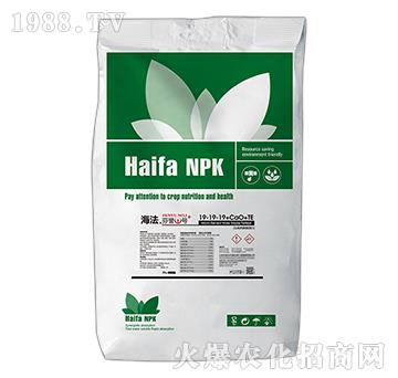 ���������u(y��)1̖19-19-CaO+TE-������