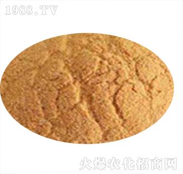 ������-�ĺ�����