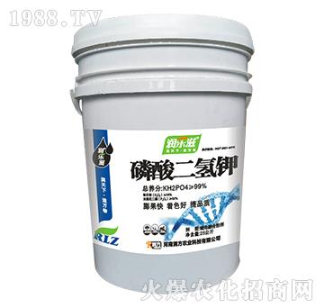 ��������-��(r��n)��(l��)�̣�25���-���L(zh��ng)��