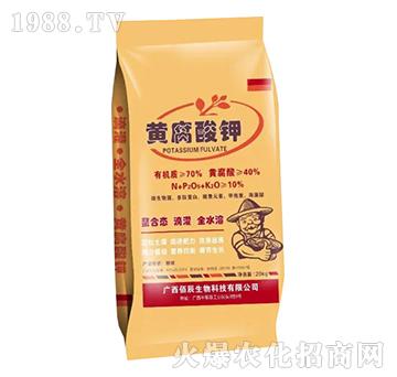 �S�����-�۳�����