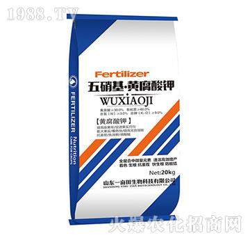 ���������S�����-Ҽ������