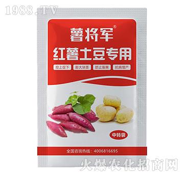 �t�������������������-�G������