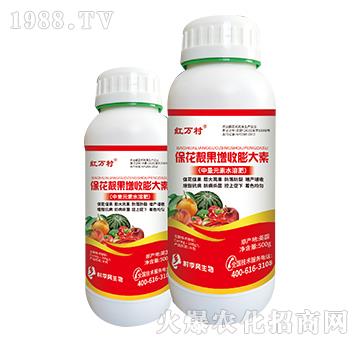 �����n�����������-���˹����r(n��ng)��