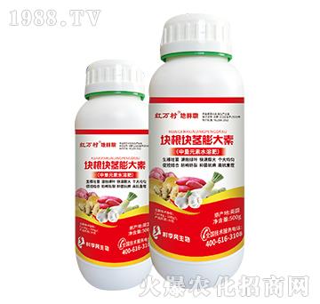 �K���K�o�����-���ֶ�-���˹����r(n��ng)��