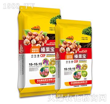 榛果寶-鑫騰森-騰森肥業(yè)