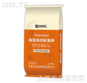 ������}����-ɽ������