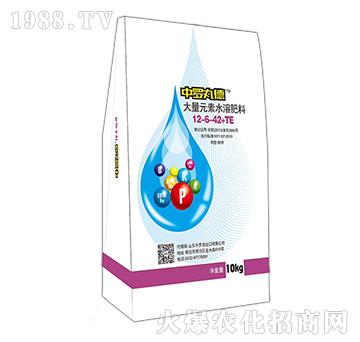 ����Ԫ��ˮ�ܷ���12-6-42+TE-���_���-���_