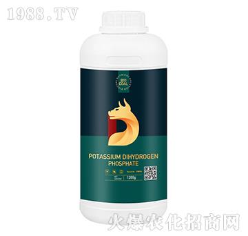 ��������-��