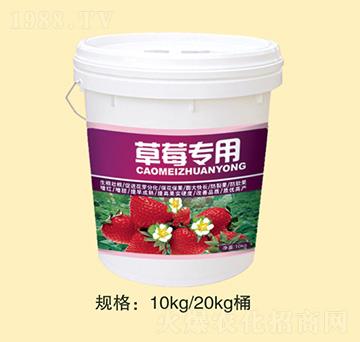 ��ݮ����-�fȪ�r��