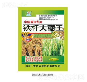 �F�U������-�fȪ�r��