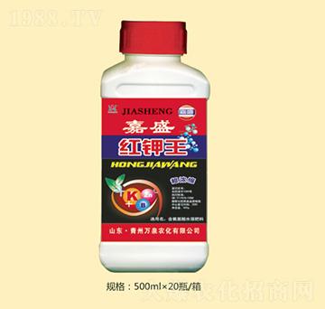 �˼�ʢ�t���-�fȪ�r(n��ng)��