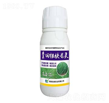 �²˻ظ����L�`-���䌍�I(y��)