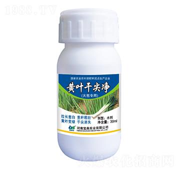 ���[�S�~�ɼ��-���䌍�I(y��)