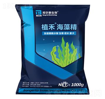 ֲ�̺��徫-�̩