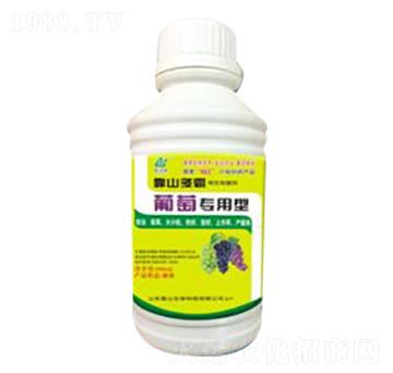 ���ь�(zhu��n)����-��ɽ����