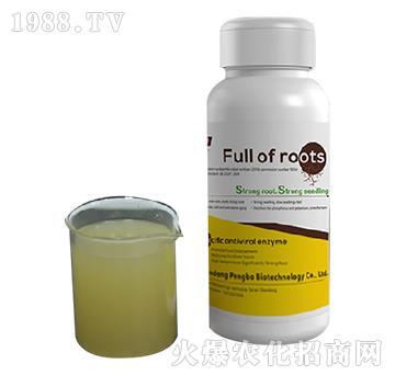 ���M�M-�����