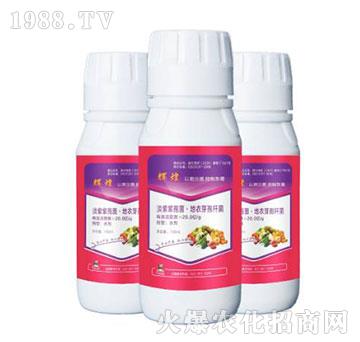 淡紫紫孢菌·地衣芽孢桿菌-輝煌-柯易植保