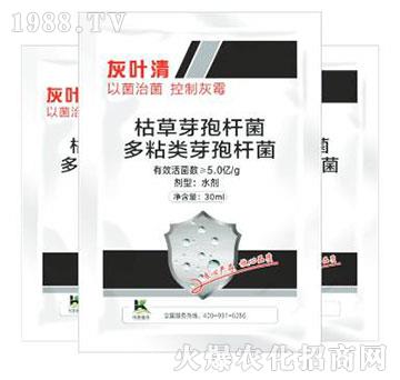 ���~��-����ֲ��