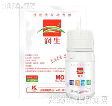 植物生長(zhǎng)動(dòng)力源-潤(rùn)生-柯易植保