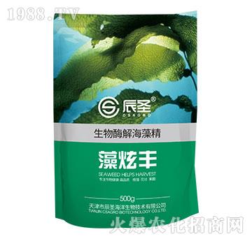 �����S���徫-��ʥ����