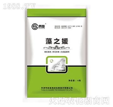 ��֮��-��ʥ����