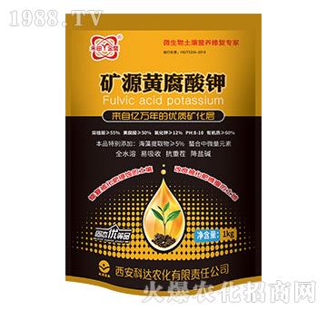 �VԴ�S�����-���r(n��ng)���_