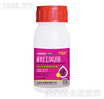 �r�t���-����