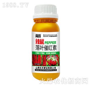 �����߼t��-��(l��)��