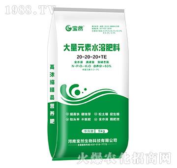 大量元素水溶肥料20-20-20+TE-寶然生物