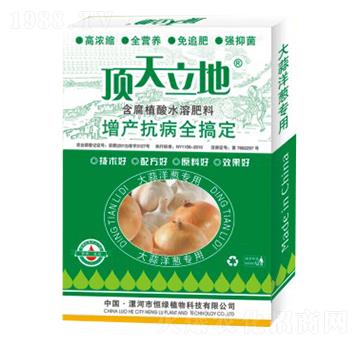 大蒜洋蔥專用含腐植酸水溶肥料-頂天立地-恒綠植物