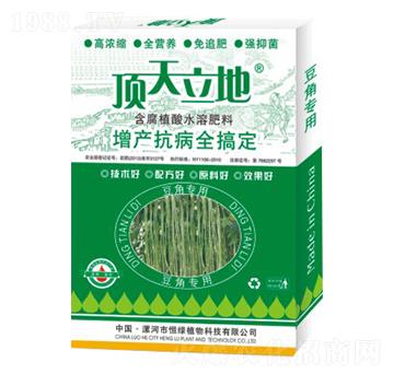 豆角專用含腐植酸水溶肥料-頂天立地-恒綠植物