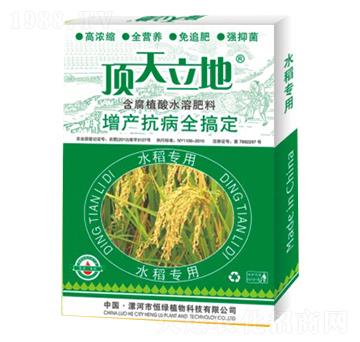 水稻專用含腐植酸水溶肥料-頂天立地-恒綠植物