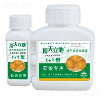 ����ú���ֲ��ˮ�ܷ��ϣ�1+1�ͣ�-�������-��Gֲ��