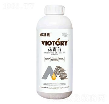 ������-�Ȼ���-�S������