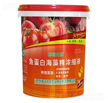 �~���׺����sҺ-��������-������(y��u)��